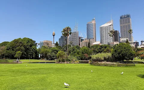 Royal Botanic Garden Sydney image