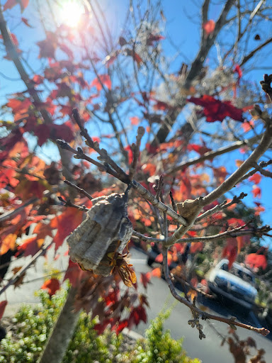 Air Conditioning Repair Service «R.J. Kielty Plumbing, Heating and Cooling, Inc.», reviews and photos, 9507 FL-52, Hudson, FL 34669, USA