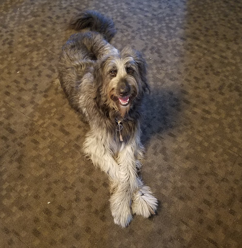 Pet Supply Store «Pets Barn», reviews and photos, 2765 FM3009, Schertz, TX 78154, USA