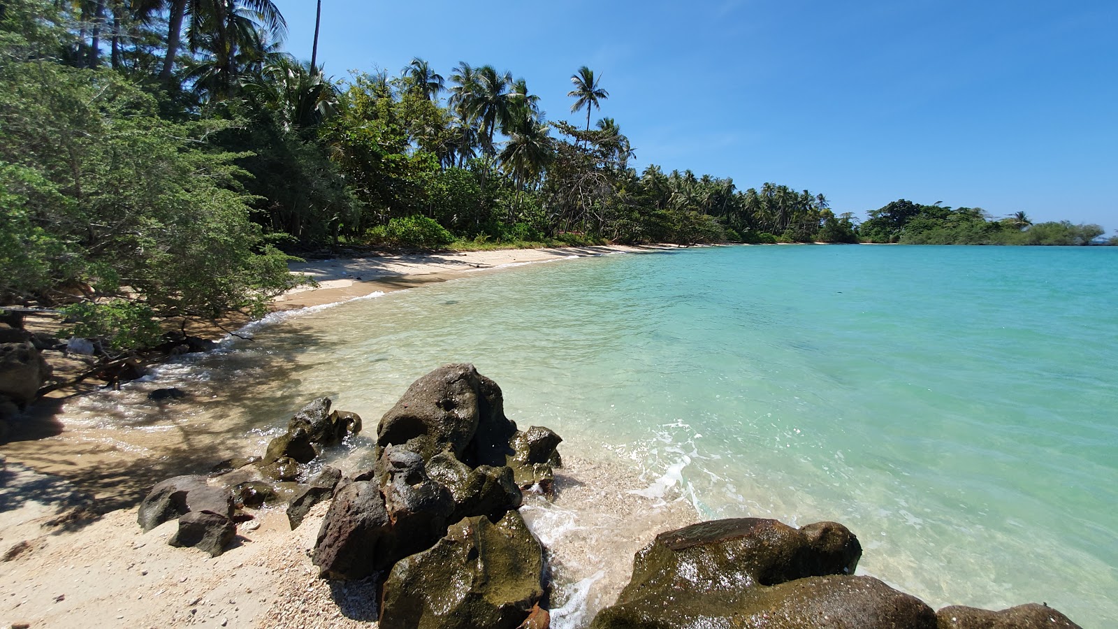Turtle Beach photo #8