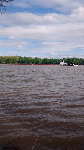 Dollar Store «FAMILY DOLLAR», reviews and photos, 511 Green Blvd, Aurora, IN 47001, USA