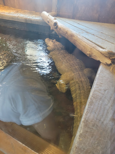 Zoo «Reptile Zoo», reviews and photos, 22715 US-2, Monroe, WA 98272, USA