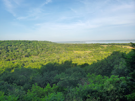 Escarpment Road Trail