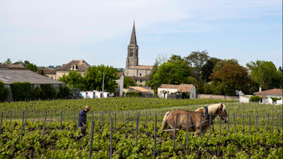 Clos Dubreuil à Saint-Christophe-des-Bardes