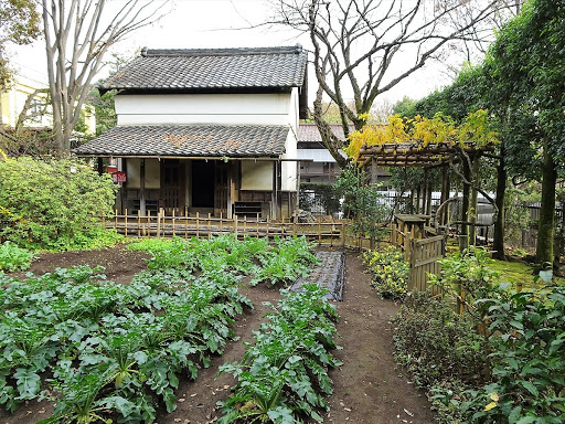 Okamoto Park’s Old Farm House Garden