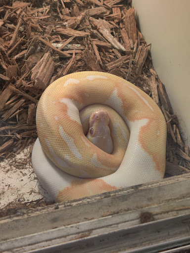 Pet Store «Pet Kingdom», reviews and photos, 3191 Sports Arena Blvd, San Diego, CA 92110, USA