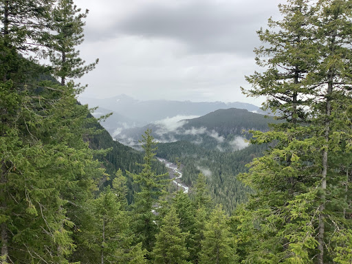 Health Food Store «Mountain Community Co-Op», reviews and photos, 105 Carter St E, Eatonville, WA 98328, USA