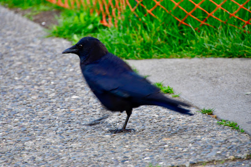 Park «Kerry Park», reviews and photos, 211 W Highland Dr, Seattle, WA 98119, USA