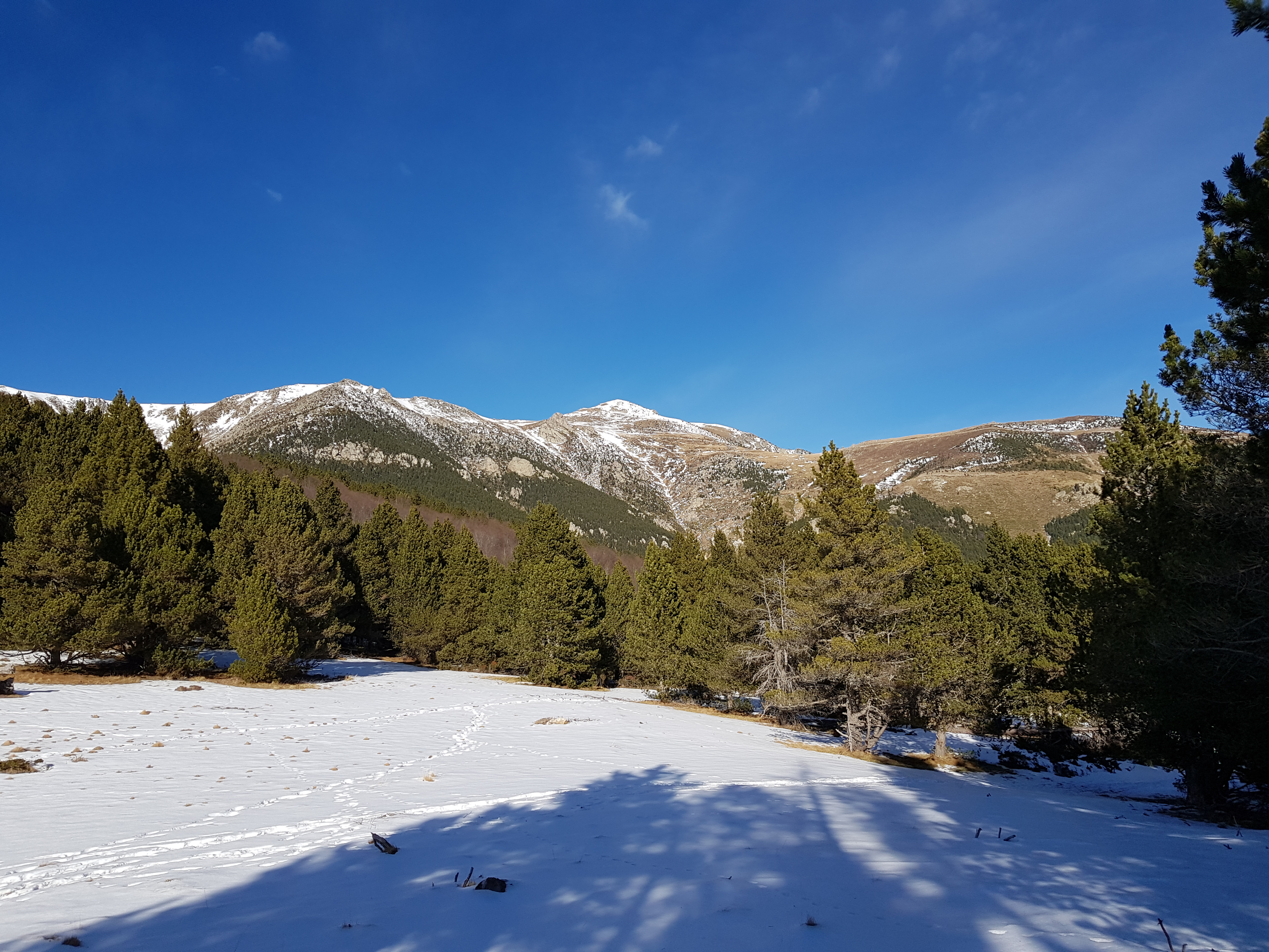 Photo n° 6 de l'avis de Delcourt.a fait le 12/04/2018 à 09:58