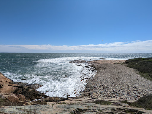 Hiking Area «Black Point Trailhead», reviews and photos, 655 Ocean Rd, Narragansett, RI 02882, USA