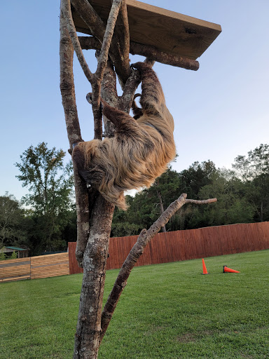 Tourist Attraction «Barn Hill Preserve», reviews and photos, 11370 LA-955, Ethel, LA 70730, USA