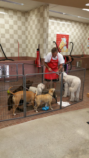 Pet Supply Store «Pet Food Express», reviews and photos, 9153 W Olympic Blvd, Beverly Hills, CA 90212, USA