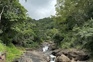 Waterfall Selfie Point image