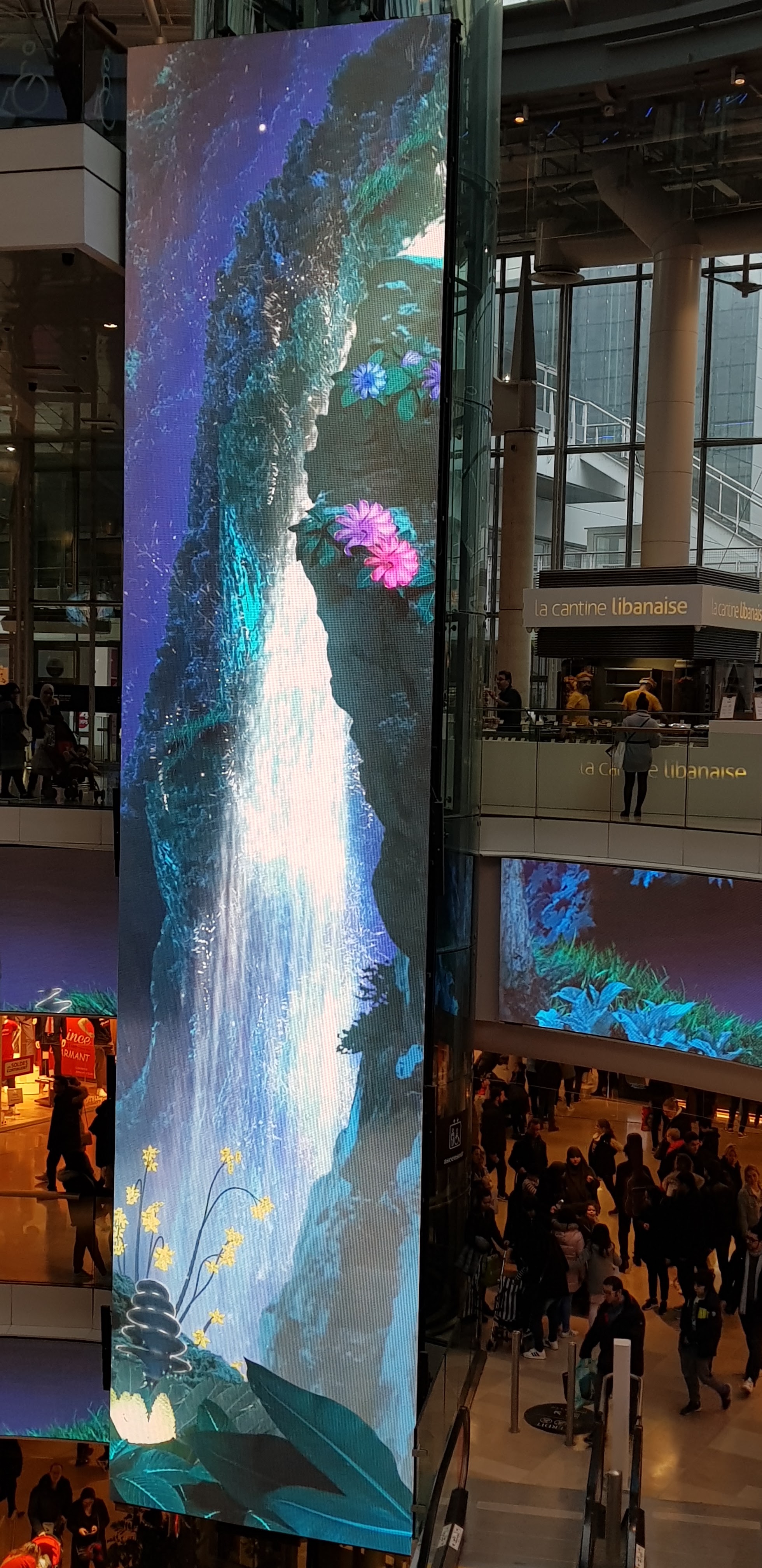 Photo n° 1 de l'avis de Skelly. fait le 09/02/2019 à 22:03
