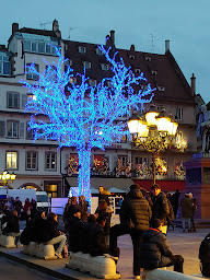 Photo n°17 de Zuem Stadtwappe Restaurant à Strasbourg ()
