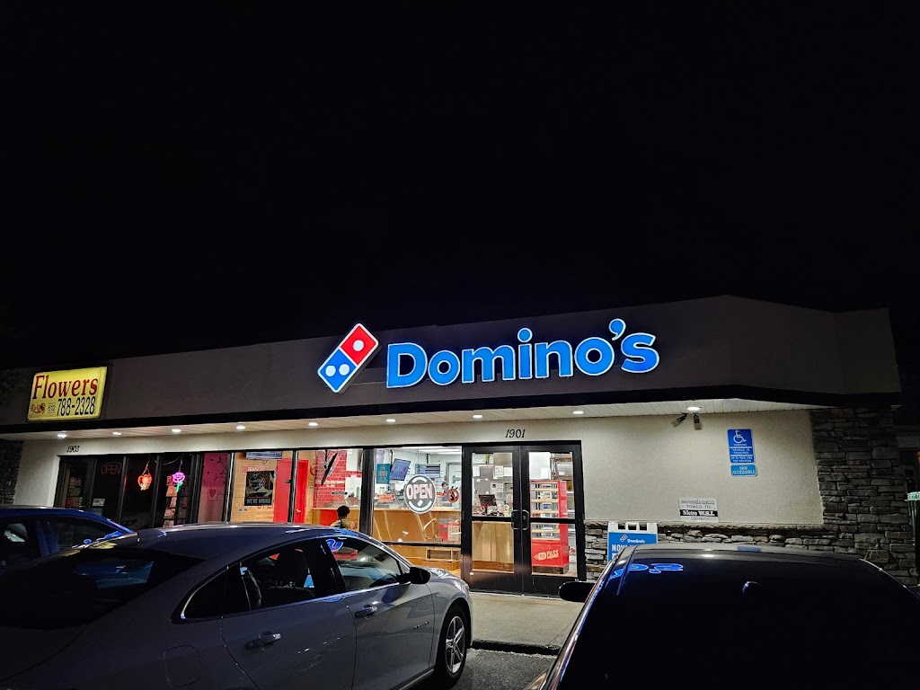 Domino's Pizza 55418
