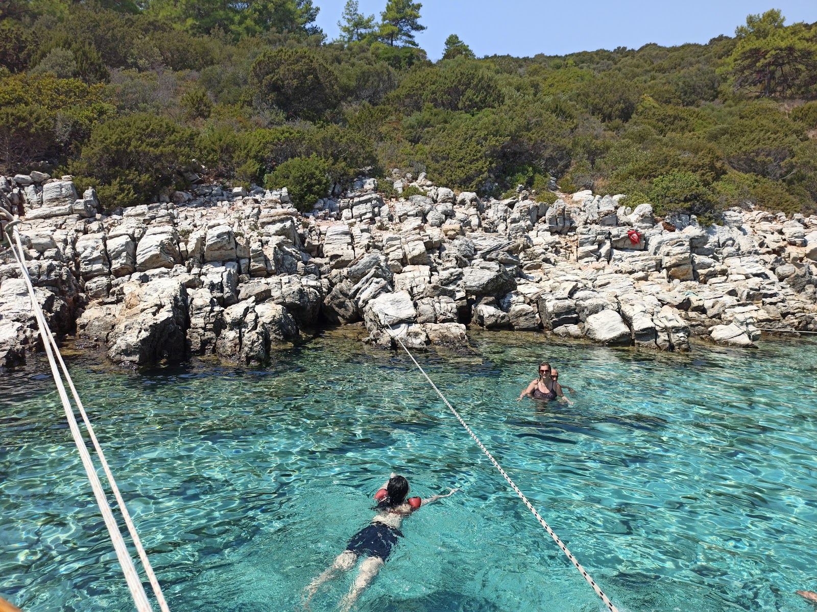 Orak Island Bay'in fotoğrafı ve güzel manzarası