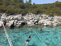 Orak Island Bay'in fotoğrafı ve güzel manzarası