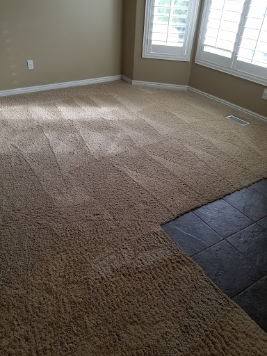Green Solutions Carpet Cleaning