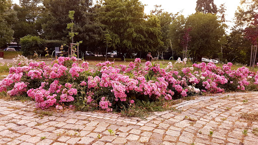 Парк „Борисова градина“