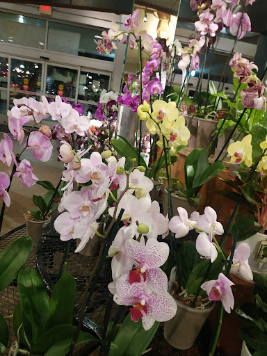 Grocery Store «Whole Foods Market», reviews and photos, 5945 State Bridge Rd, Duluth, GA 30097, USA