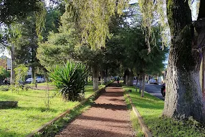 Santa Elena Arboleda image