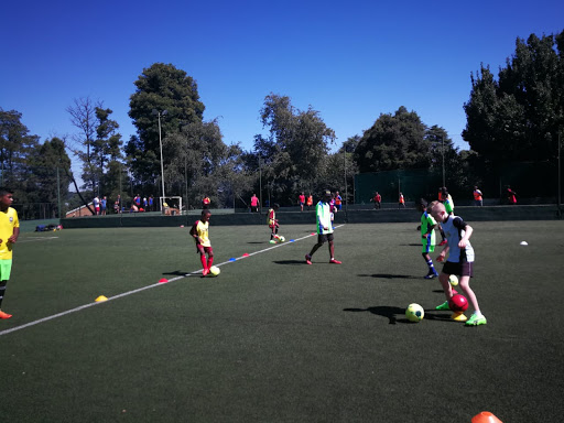 Euro Soccer Schools Waverely Sports Club