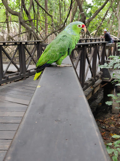 Histórico Guayaquil cantón Samborondón Park