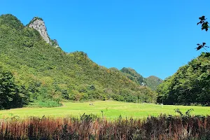 Virgin Forest on Seonginbong Peak image