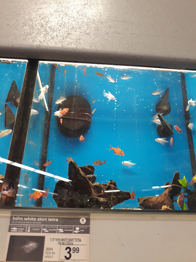 Pet Supply Store «Petco Animal Supplies», reviews and photos, 2561 E Hwy 50, Clermont, FL 34711, USA