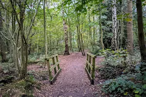 Stanney Woods Country Park image