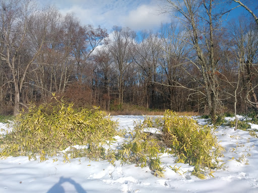 Nature Preserve «Kitchawan Preserve», reviews and photos, 712 Kitchawan Rd, Ossining, NY 10562, USA