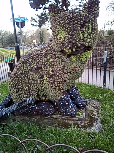 Whittington Park Football Pitch