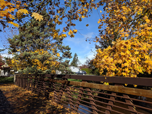 Park «Lynden City Park», reviews and photos