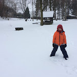 Photo n°1 de l'avis de Flora.e fait le 07/02/2019 à 09:15 sur le  Steigerhaus Sauerland à Bestwig