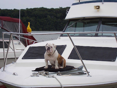 Bulldog Boating