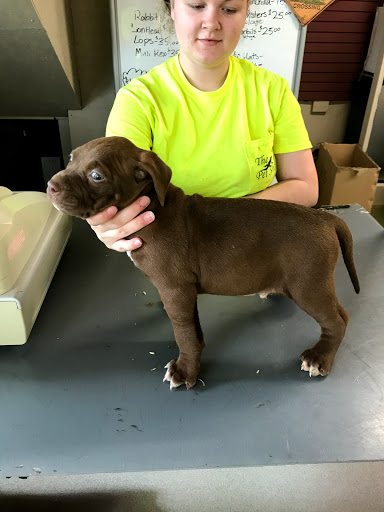 Pet Store «Tri-Creek Kennels», reviews and photos, 5641 US-129, Pendergrass, GA 30567, USA