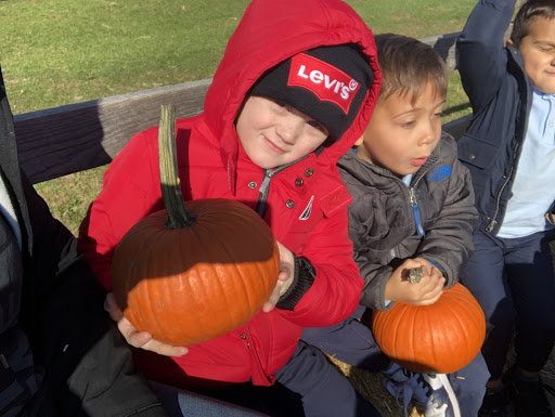 Produce Market «Solly Brothers», reviews and photos, 707 Almshouse Rd, Warminster, PA 18974, USA