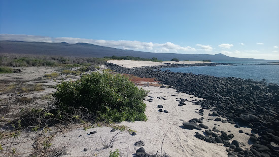 Playa El Manglecito