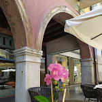 Photo n°4 de l'avis de Roberto. fait le 01/06/2021 à 12:29 sur le  Osteria Alle Volte à Udine