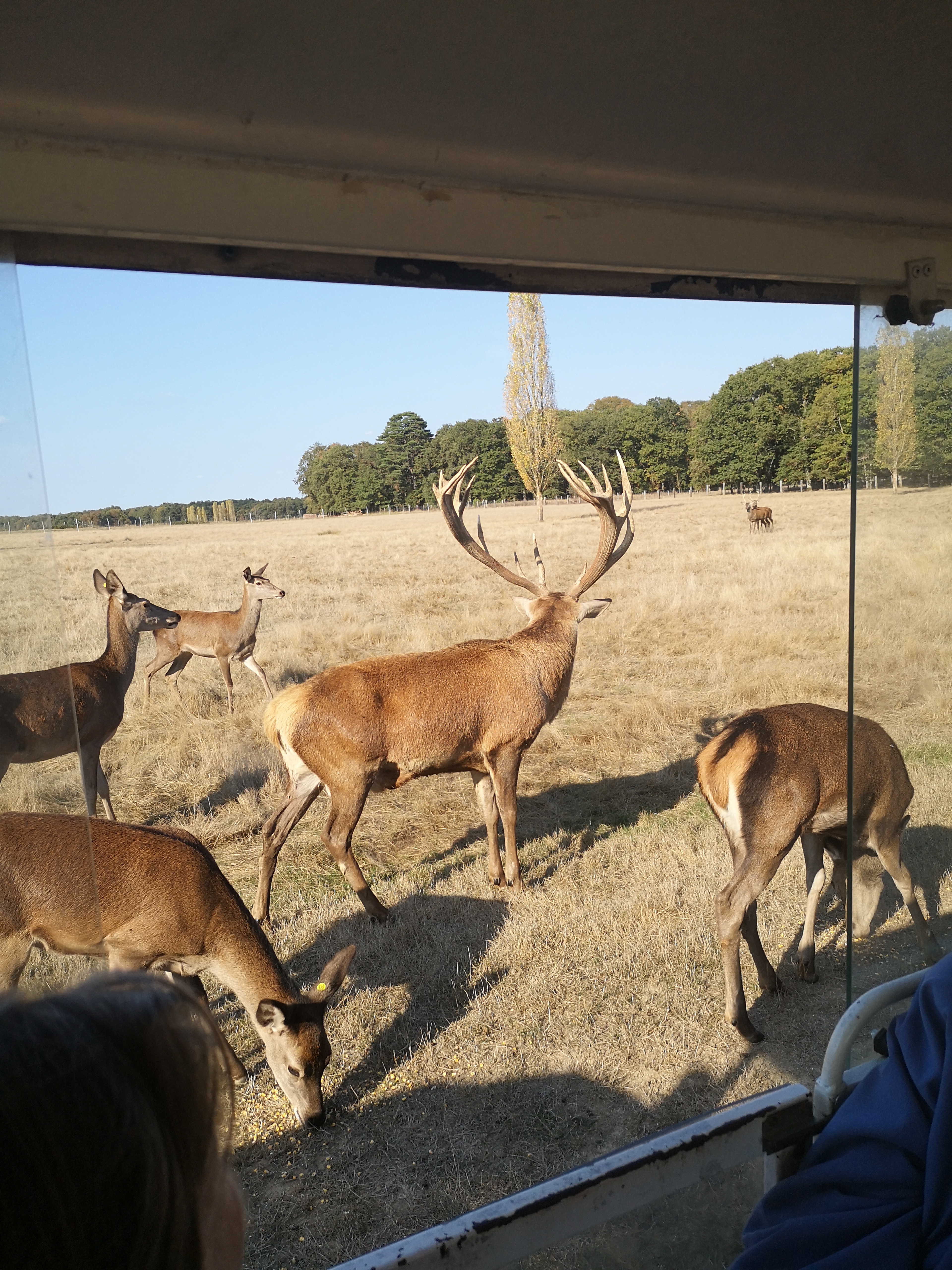 Photo n° 7 de l'avis de Gonzague.a fait le 17/10/2018 à 16:20