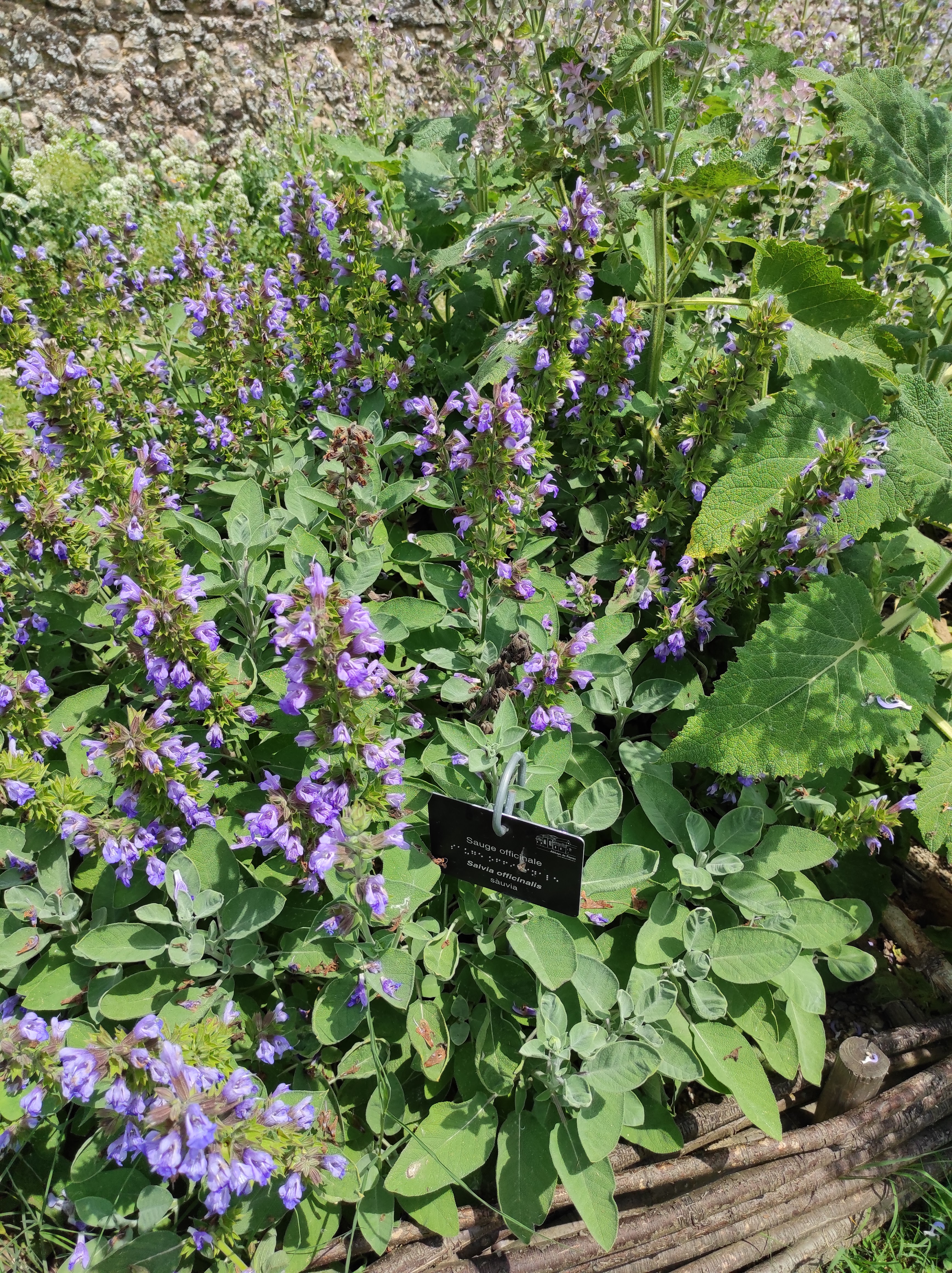Photo n° 15 de l'avis de Michèle.A fait le 20/06/2023 à 06:32