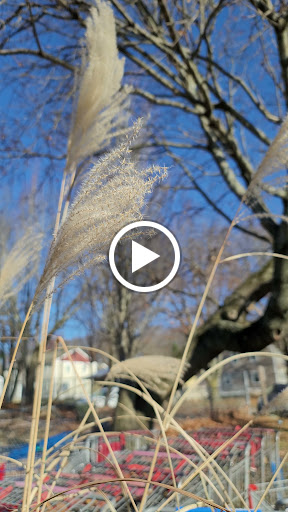 Drug Store «Walgreens», reviews and photos, 1475 Main St, Willimantic, CT 06226, USA