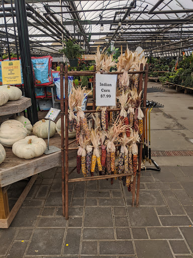 Garden Center «H J Benken Florist & Garden», reviews and photos, 6000 Plainfield Rd, Cincinnati, OH 45213, USA