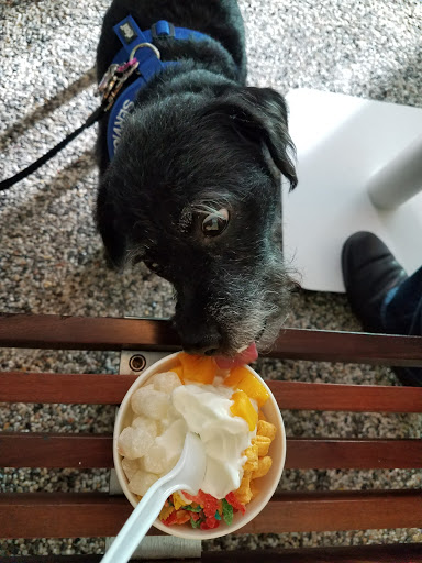 Frozen Yogurt Shop «Pinkberry», reviews and photos, 21157 Hawthorne Blvd, Torrance, CA 90503, USA