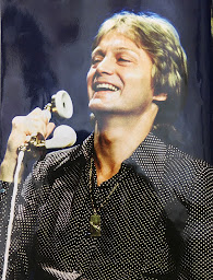 Photo n°119 de Moulin de Dannemois ancienne demeure de l'artiste Claude François à Dannemois ()