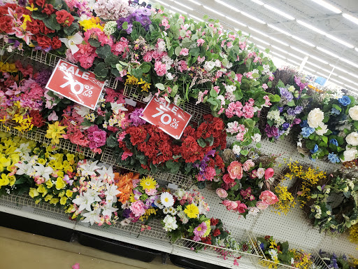 Craft Store «A.C. Moore Arts and Crafts», reviews and photos, 9515 Crosshill Blvd #109, Jacksonville, FL 32222, USA