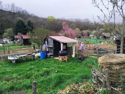 Jardin Partagé MJC du Pays d'Astrée à Boën-sur-Lignon