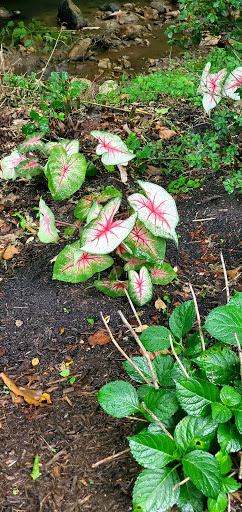 Event Venue «Sleepy Hollow Inn & Event Center», reviews and photos, 132 Old Jims Branch Rd, Swannanoa, NC 28778, USA