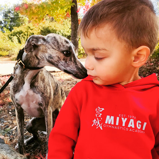 Gymnastics Center «Miyagi Gymnastics Academy», reviews and photos, 3116 Olympic Way, Auburn, CA 95603, USA